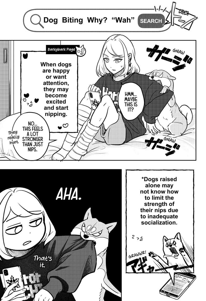 Shiba Inu Rooms Chap 1 - Next Chap 2