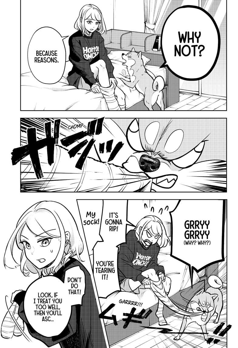 Shiba Inu Rooms Chap 1 - Next Chap 2