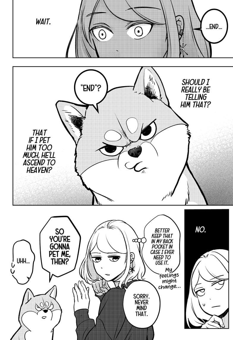 Shiba Inu Rooms Chap 1 - Next Chap 2
