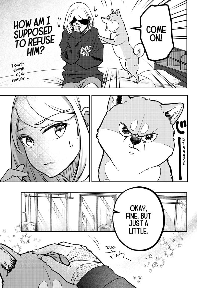 Shiba Inu Rooms Chap 1 - Next Chap 2