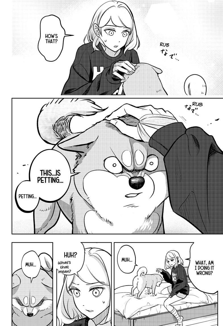 Shiba Inu Rooms Chap 1 - Next Chap 2