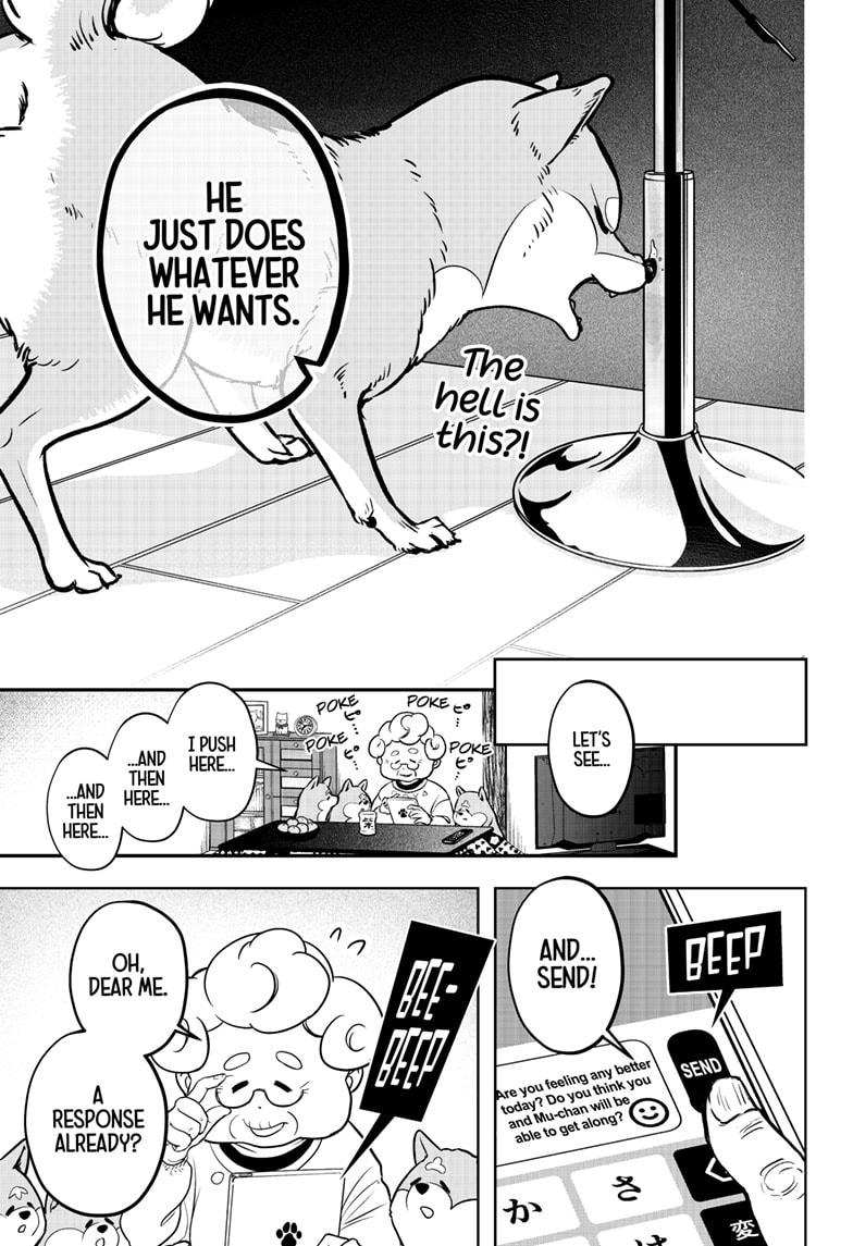 Shiba Inu Rooms Chap 1 - Next Chap 2