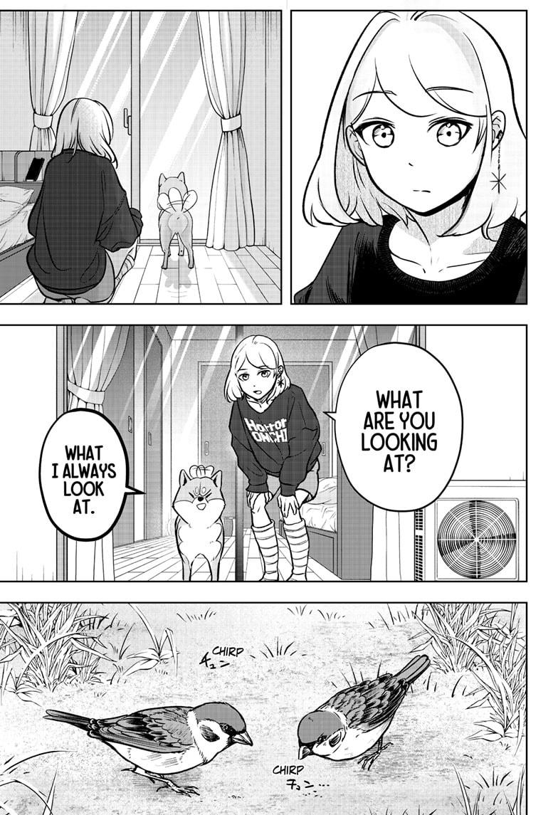 Shiba Inu Rooms Chap 1 - Next Chap 2