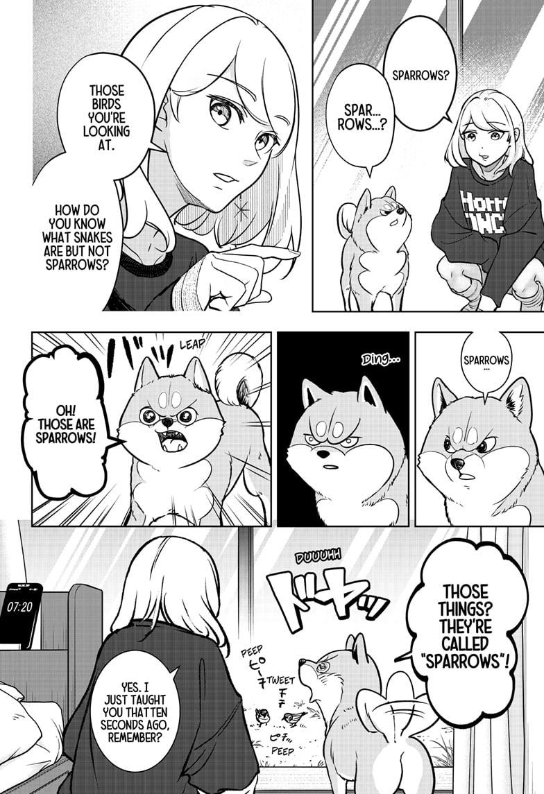 Shiba Inu Rooms Chap 1 - Next Chap 2