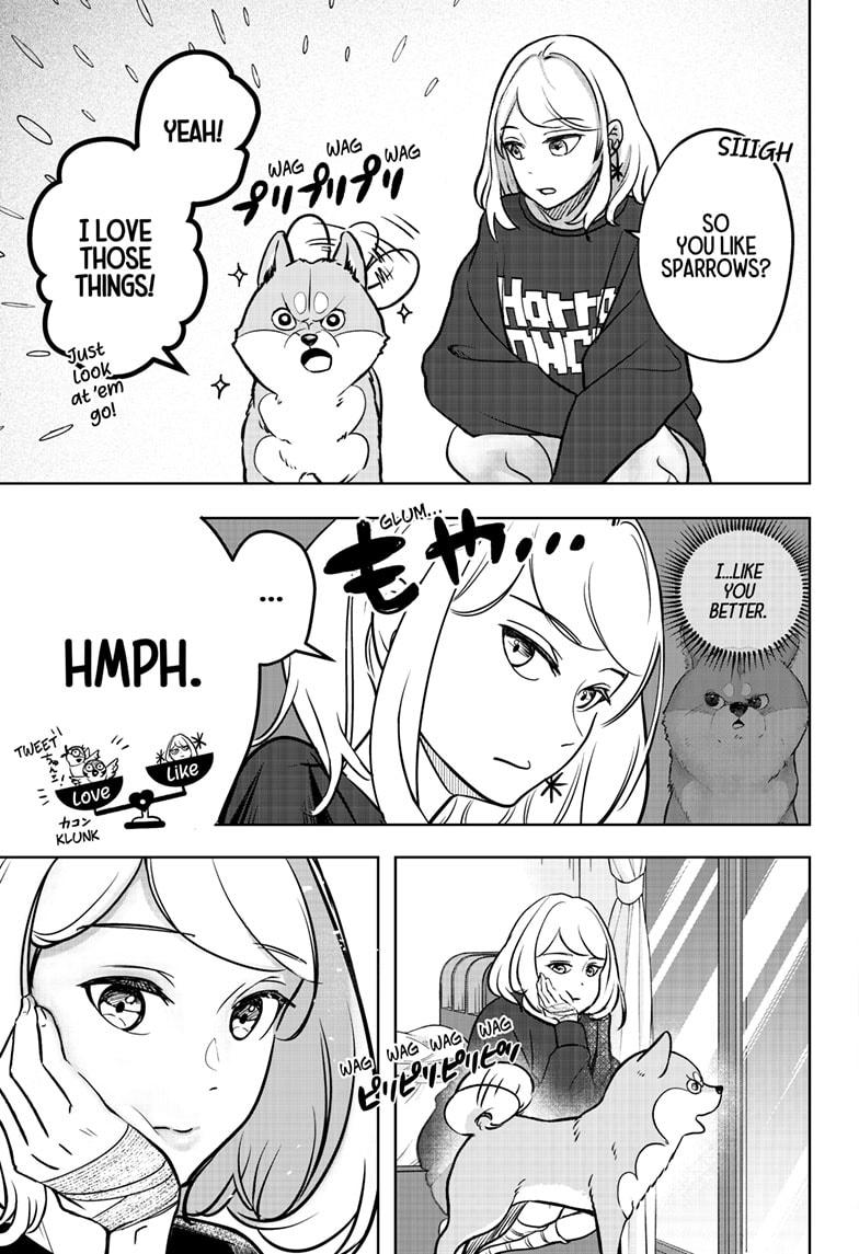 Shiba Inu Rooms Chap 1 - Next Chap 2