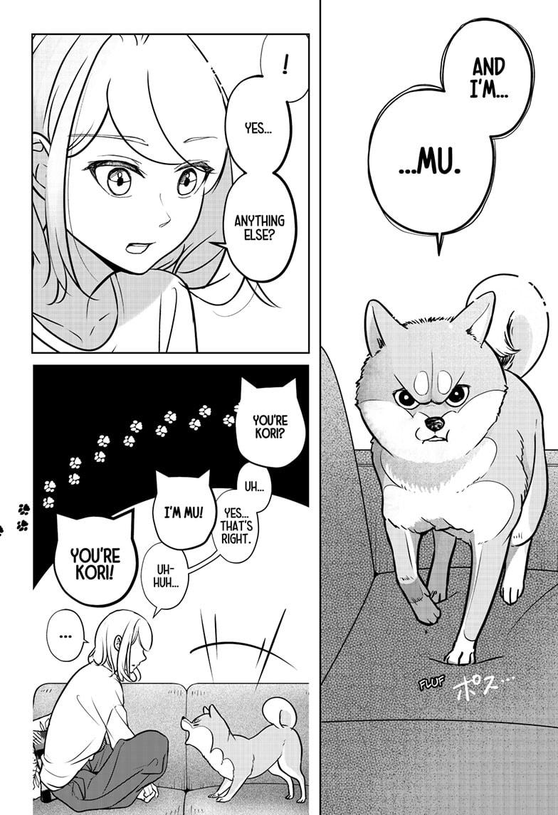 Shiba Inu Rooms Chap 3 - Next Chap 4