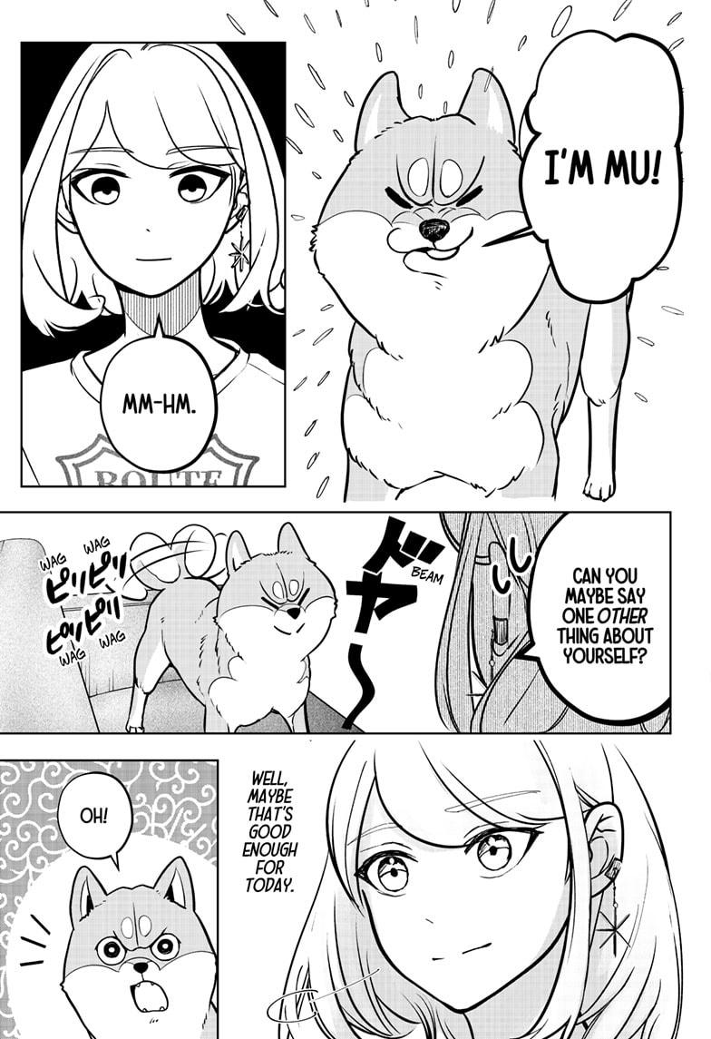 Shiba Inu Rooms Chap 3 - Next Chap 4