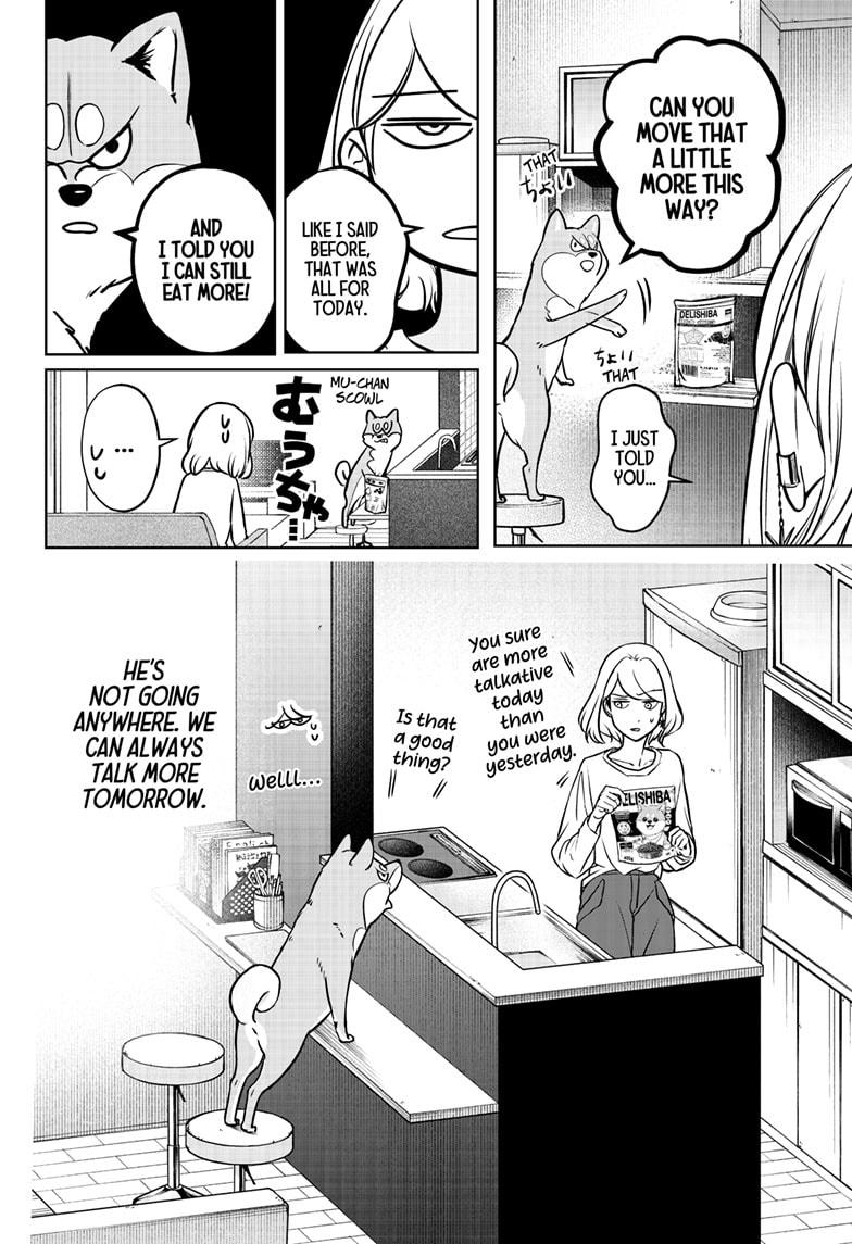 Shiba Inu Rooms Chap 3 - Next Chap 4