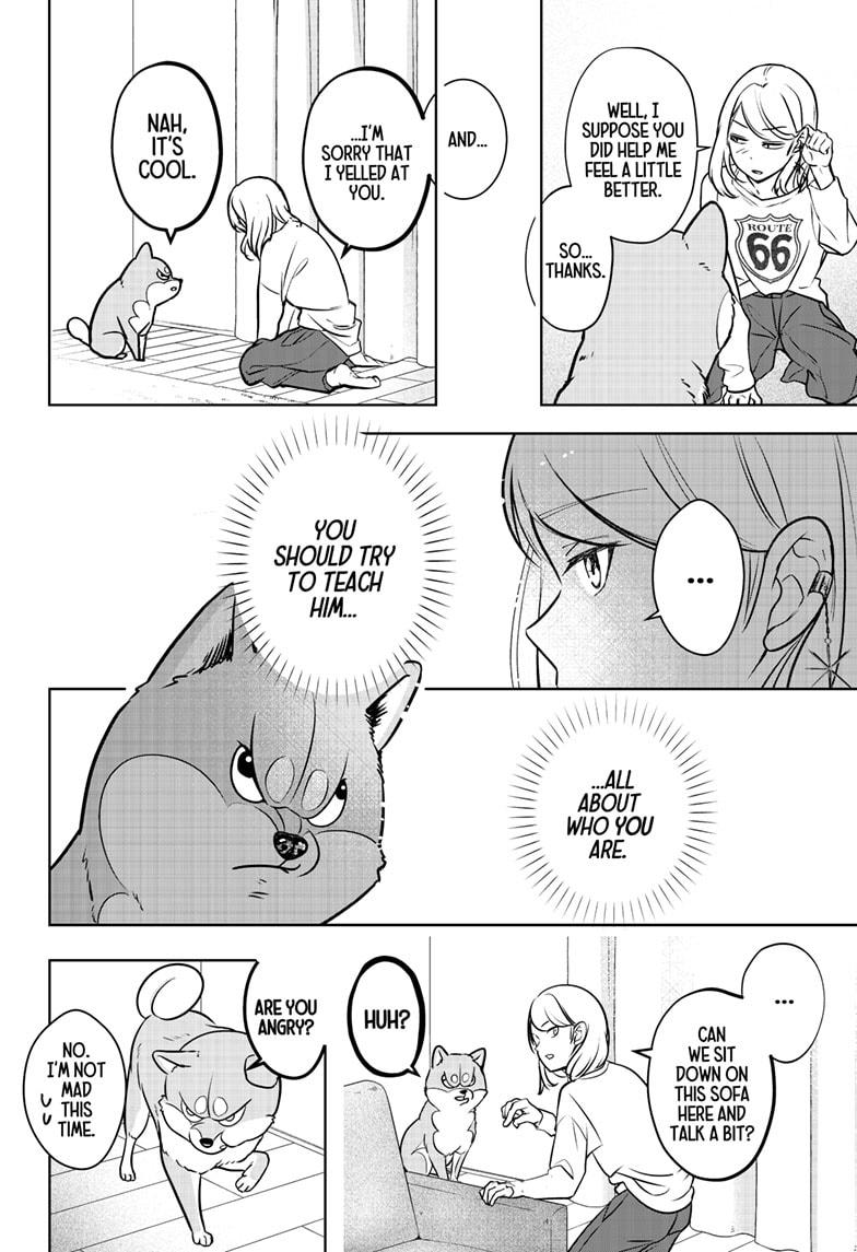 Shiba Inu Rooms Chap 3 - Next Chap 4