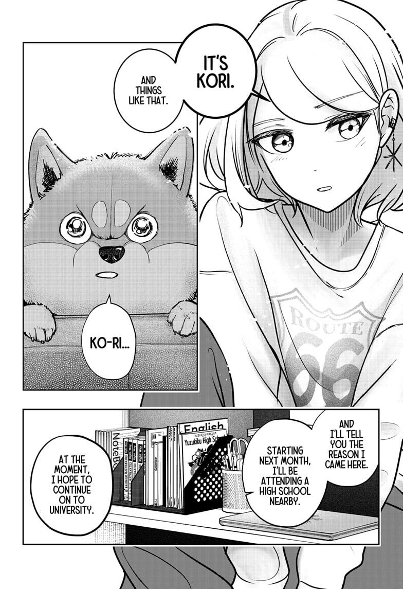 Shiba Inu Rooms Chap 3 - Next Chap 4