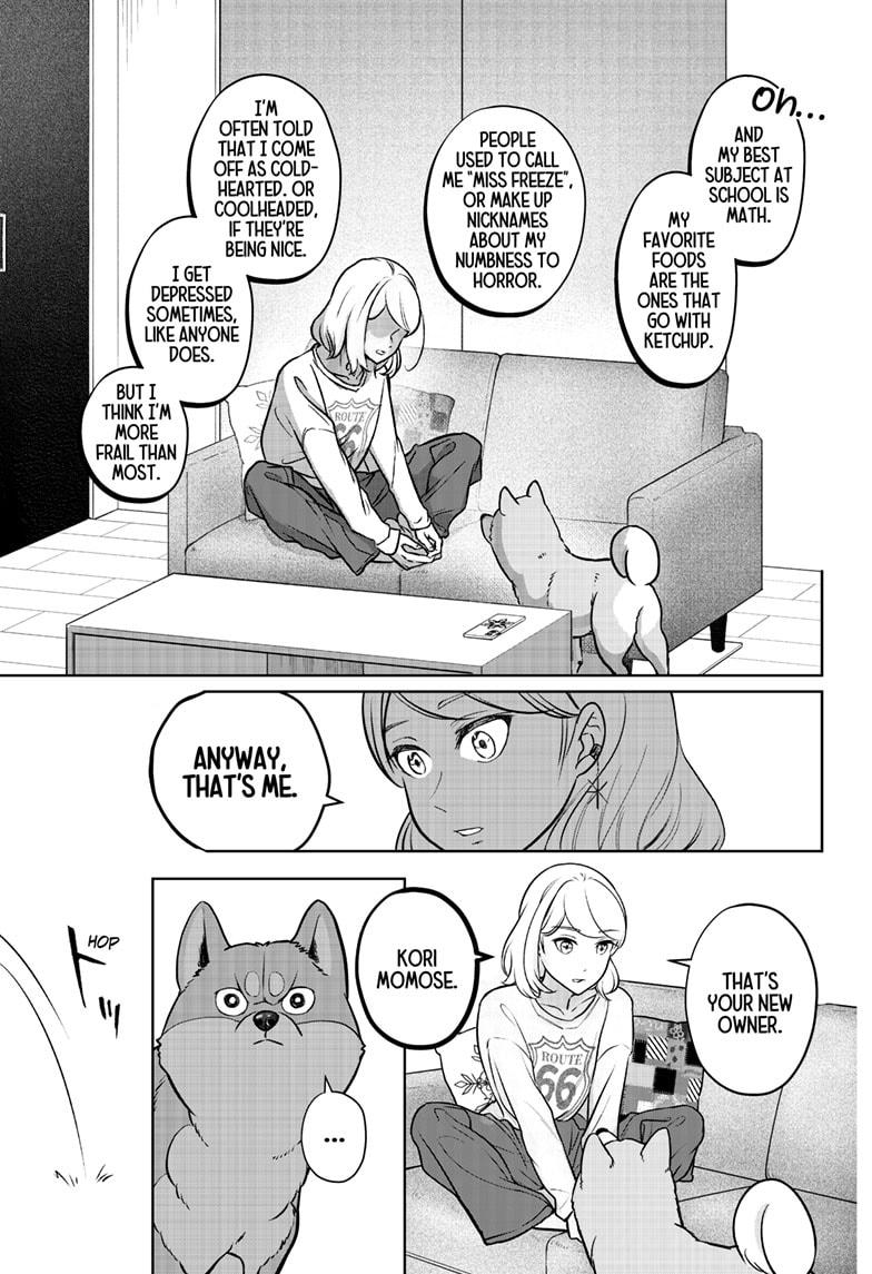 Shiba Inu Rooms Chap 3 - Next Chap 4