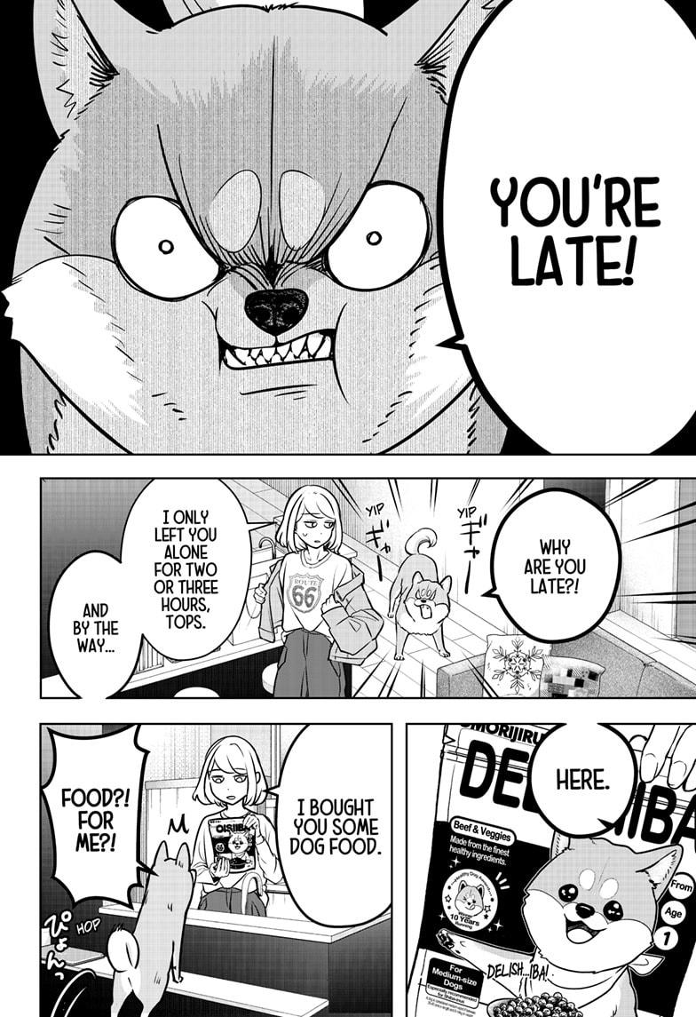 Shiba Inu Rooms Chap 3 - Next Chap 4