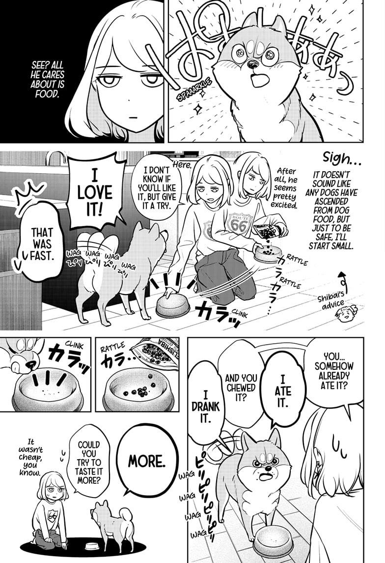Shiba Inu Rooms Chap 3 - Next Chap 4