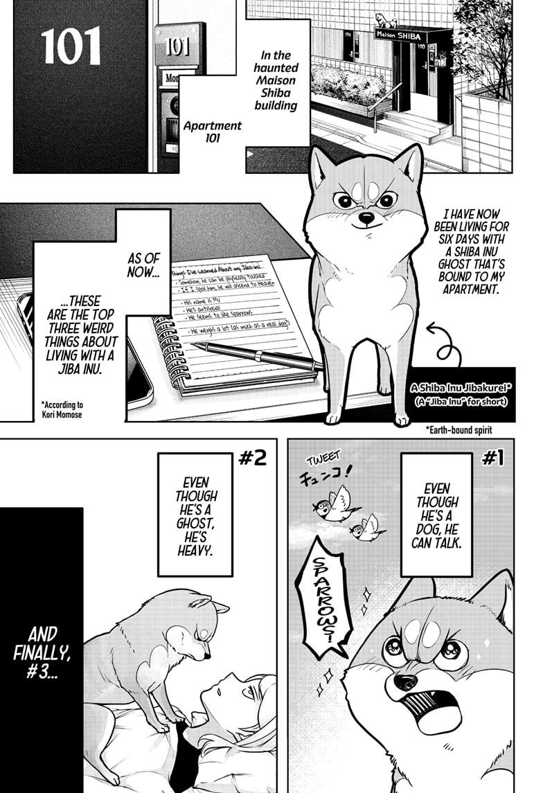 Shiba Inu Rooms Chap 3 - Next Chap 4