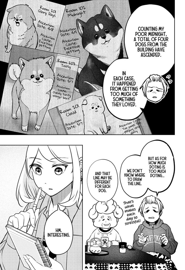 Shiba Inu Rooms Chap 3 - Next Chap 4