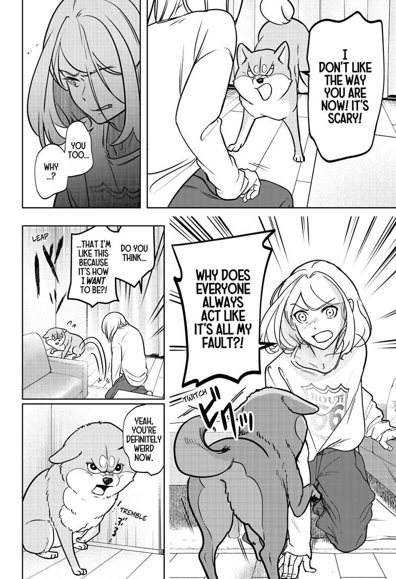 Shiba Inu Rooms Chap 3 - Next Chap 4