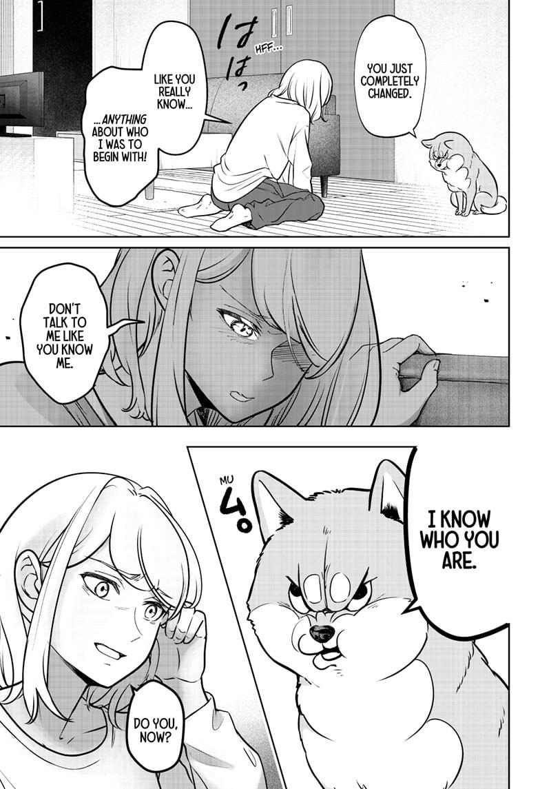 Shiba Inu Rooms Chap 3 - Next Chap 4