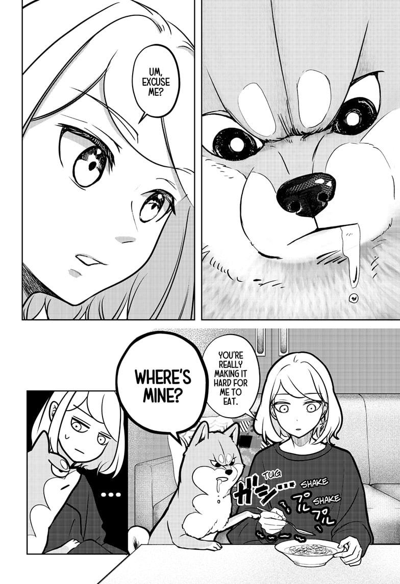 Shiba Inu Rooms Chap 3 - Next Chap 4