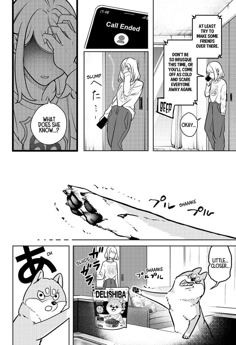 Shiba Inu Rooms Chap 3 - Next Chap 4