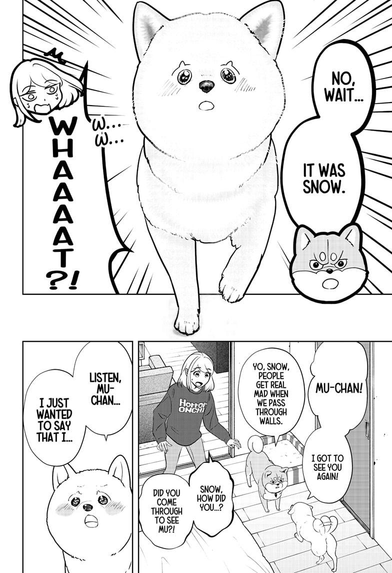Shiba Inu Rooms Chap 17 - Next Chap 18