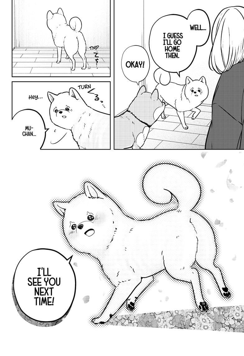 Shiba Inu Rooms Chap 17 - Next Chap 18