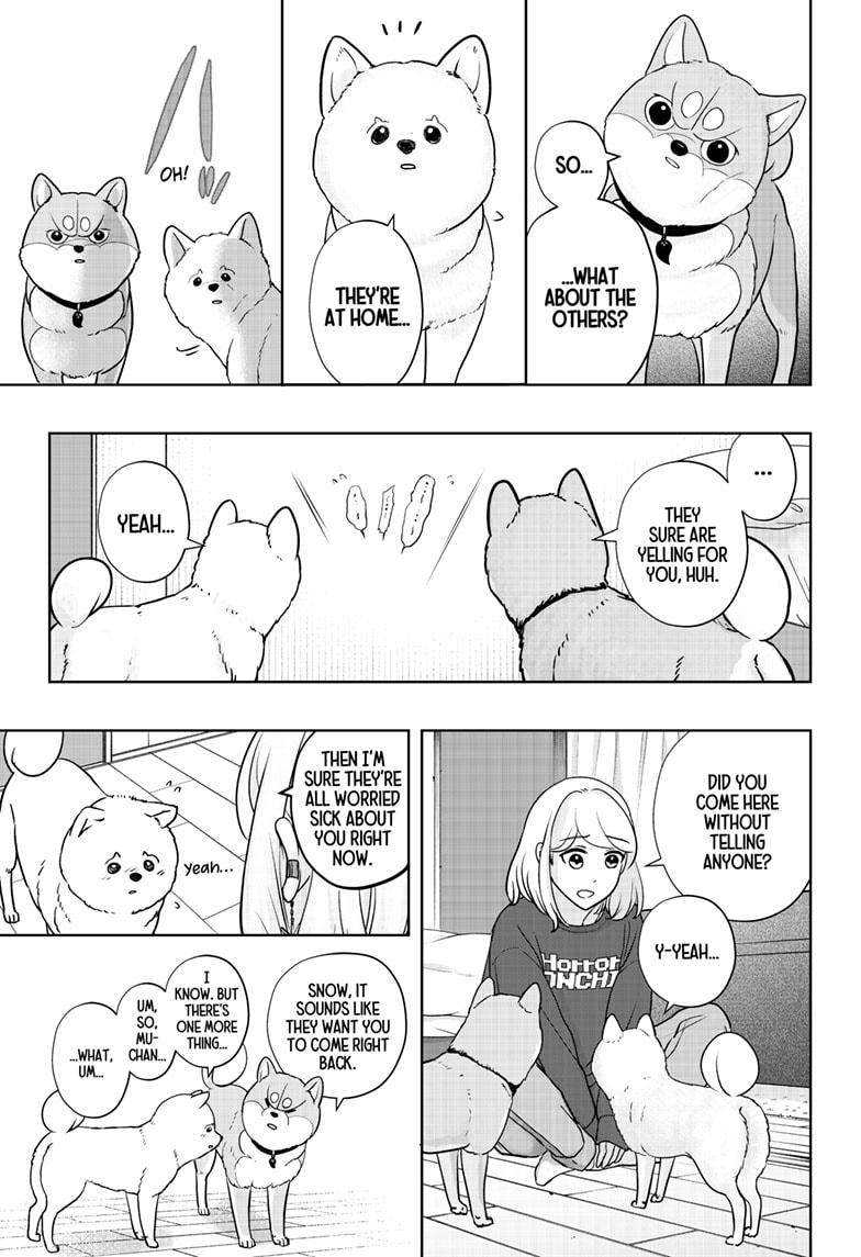 Shiba Inu Rooms Chap 17 - Next Chap 18
