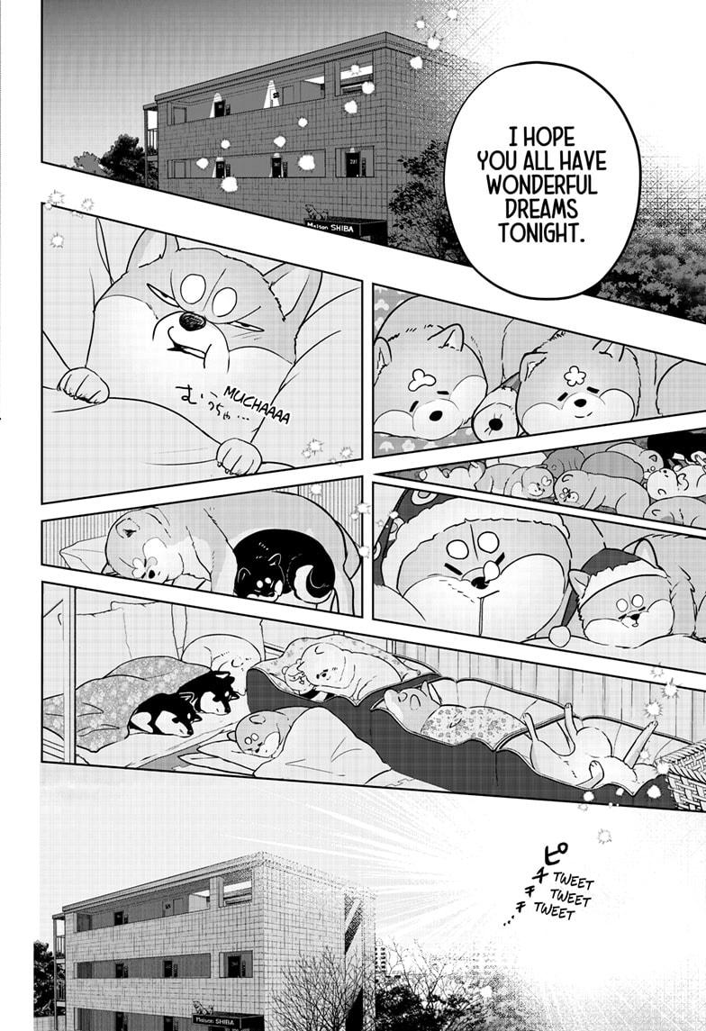 Shiba Inu Rooms Chap 17 - Next Chap 18
