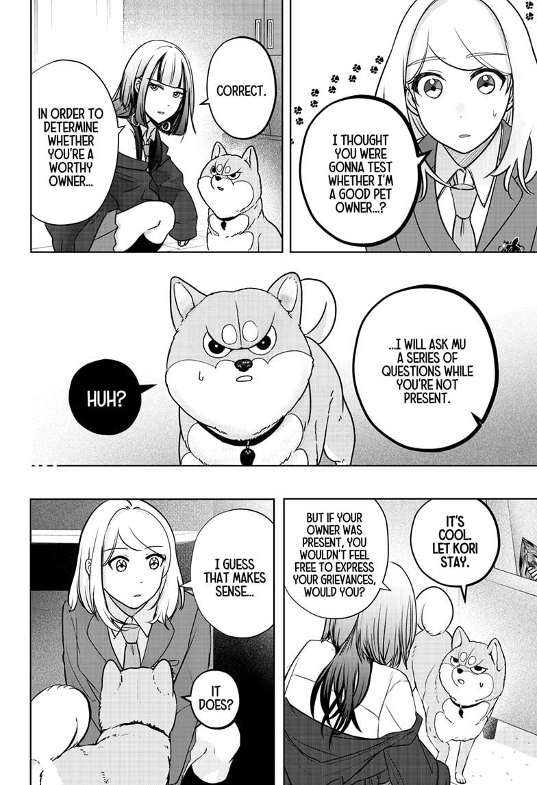 Shiba Inu Rooms Chap 14 - Next Chap 15