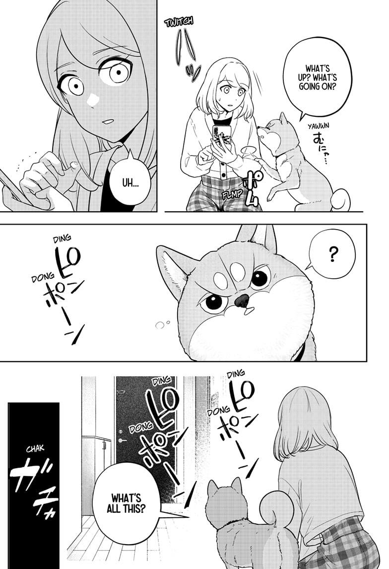 Shiba Inu Rooms Chap 15 - Next Chap 16