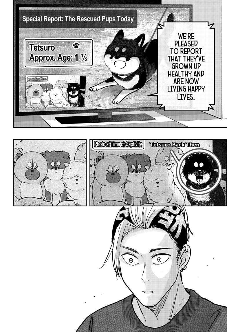 Shiba Inu Rooms Chap 18 - Next Chap 19