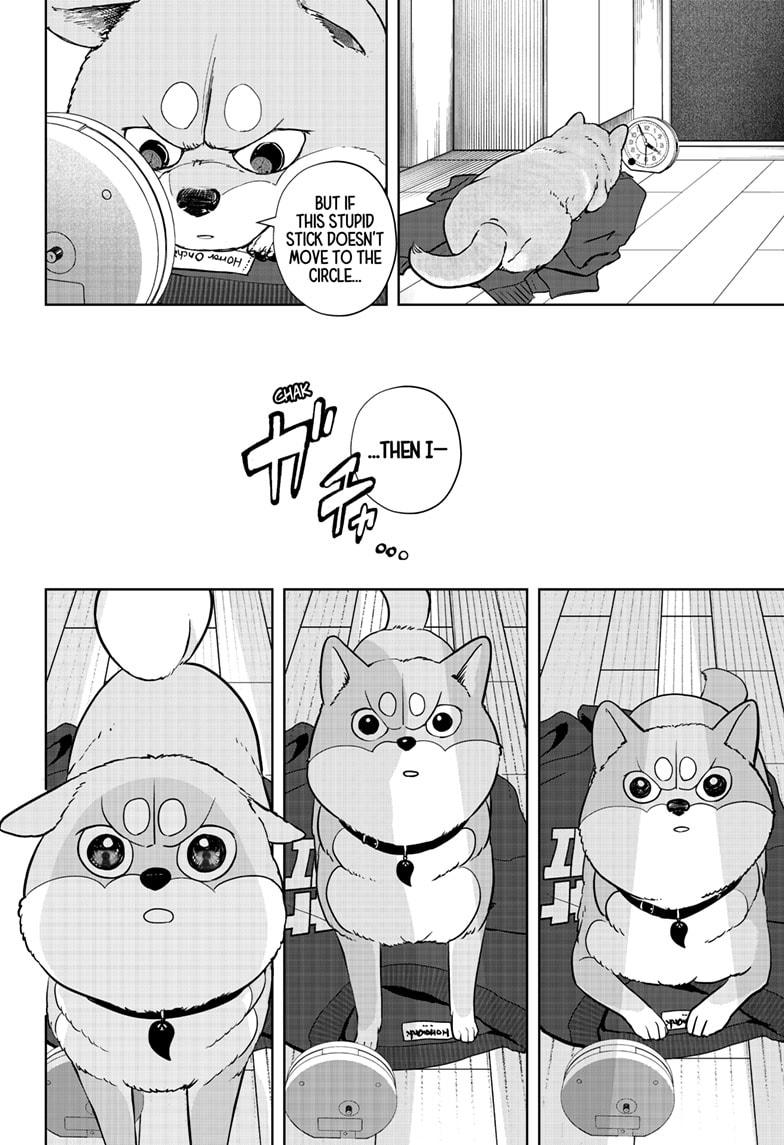 Shiba Inu Rooms Chap 19 - Next Chap 20
