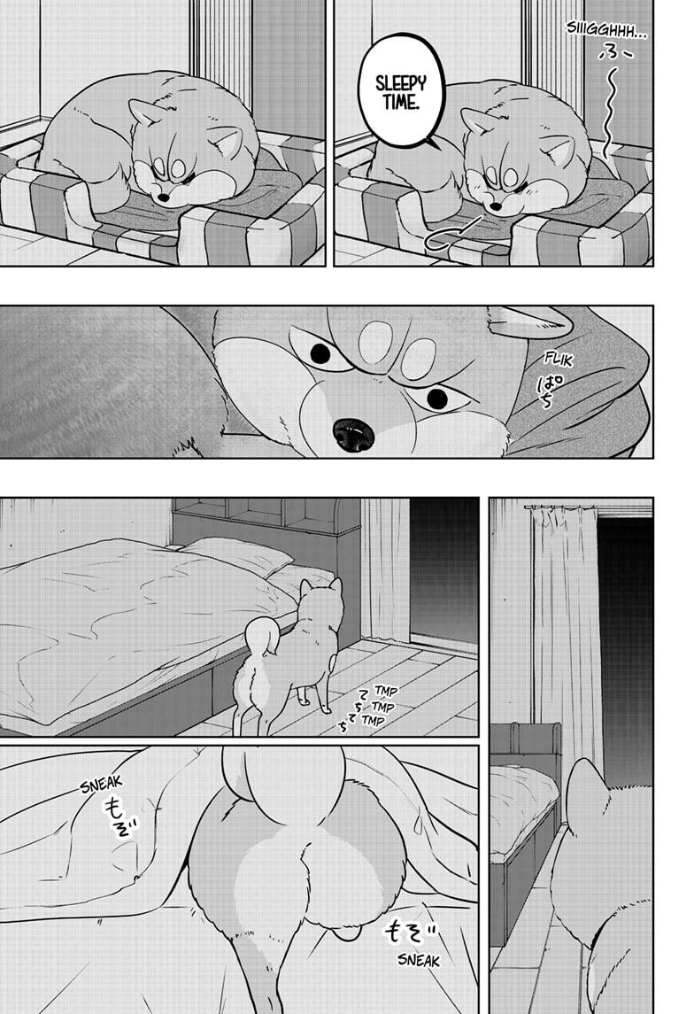 Shiba Inu Rooms Chap 19 - Next Chap 20