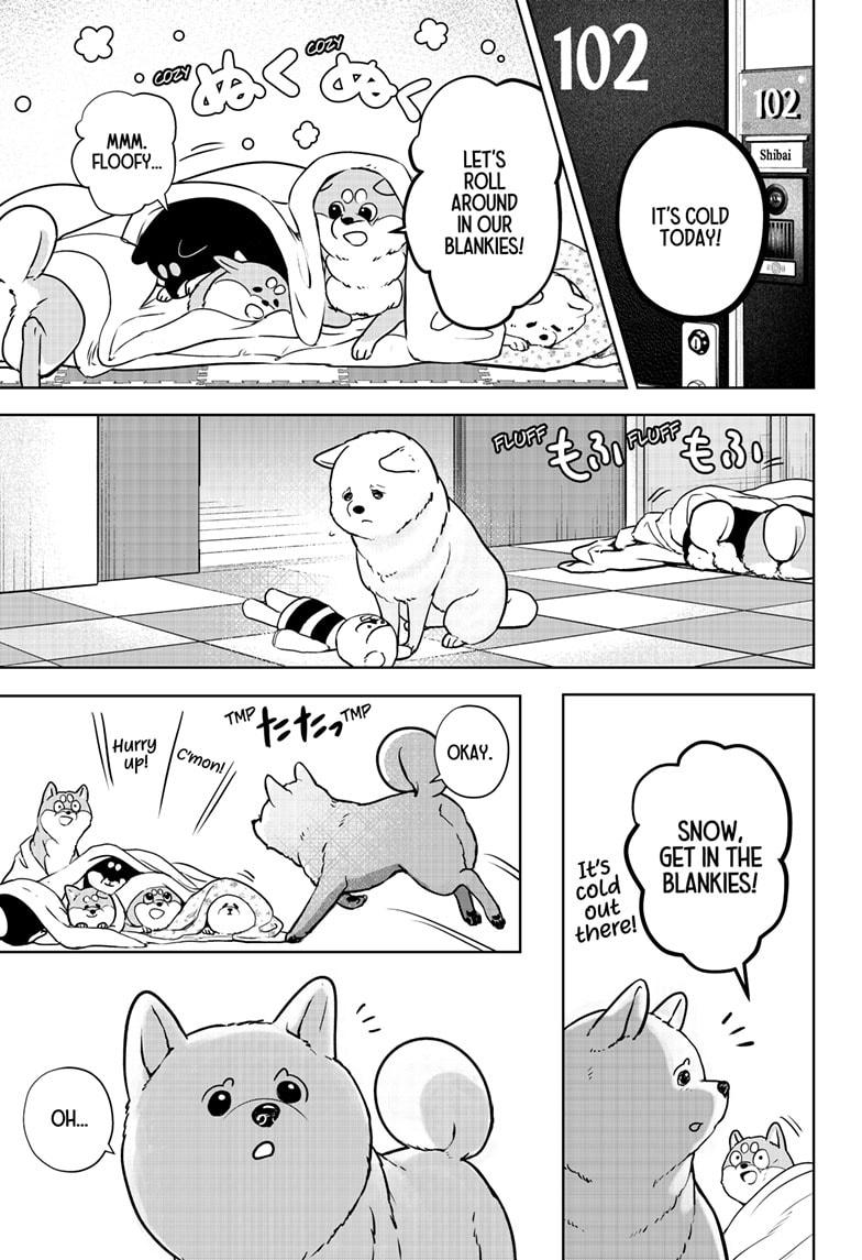 Shiba Inu Rooms Chap 10 - Next Chap 11