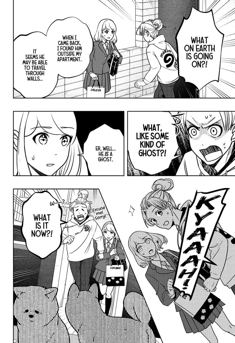 Shiba Inu Rooms Chap 10 - Next Chap 11