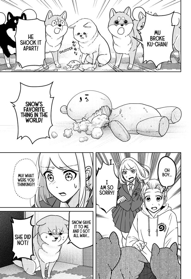 Shiba Inu Rooms Chap 10 - Next Chap 11