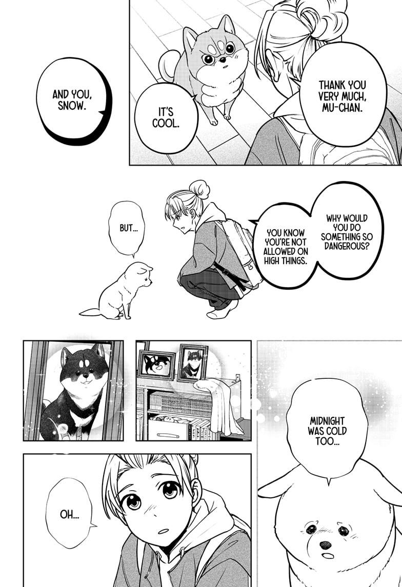 Shiba Inu Rooms Chap 10 - Next Chap 11