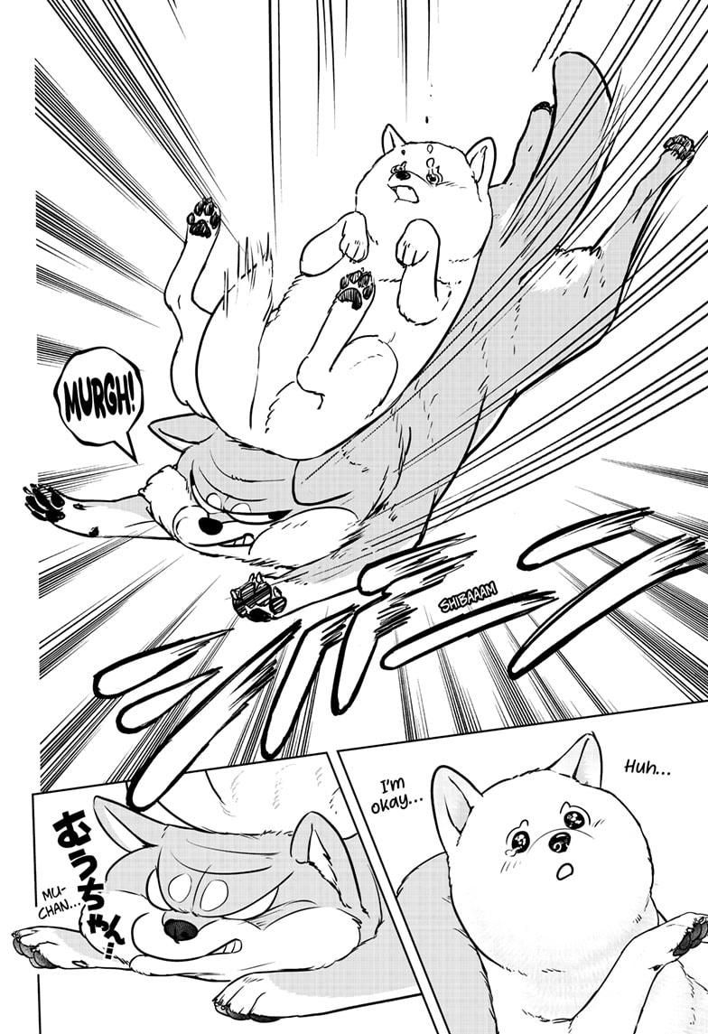Shiba Inu Rooms Chap 10 - Next Chap 11