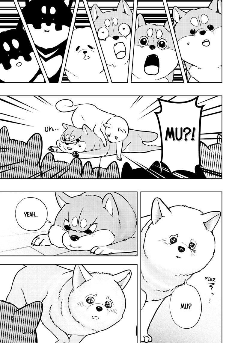 Shiba Inu Rooms Chap 10 - Next Chap 11
