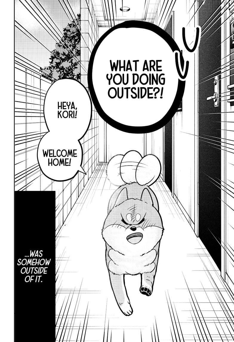 Shiba Inu Rooms Chap 10 - Next Chap 11