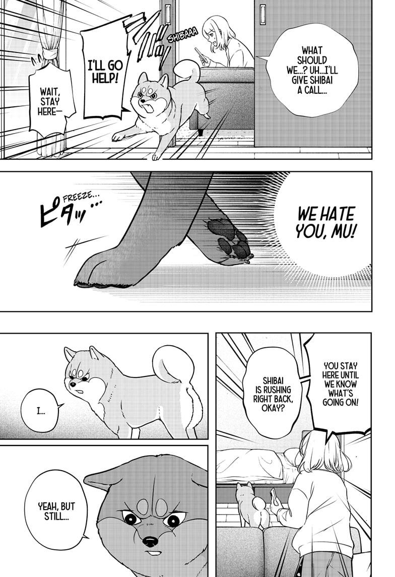 Shiba Inu Rooms Chap 10 - Next Chap 11