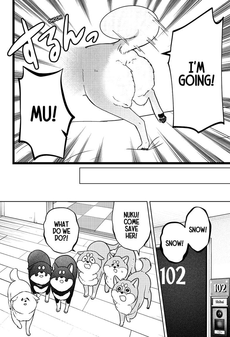 Shiba Inu Rooms Chap 10 - Next Chap 11