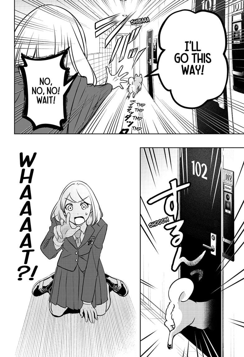 Shiba Inu Rooms Chap 10 - Next Chap 11