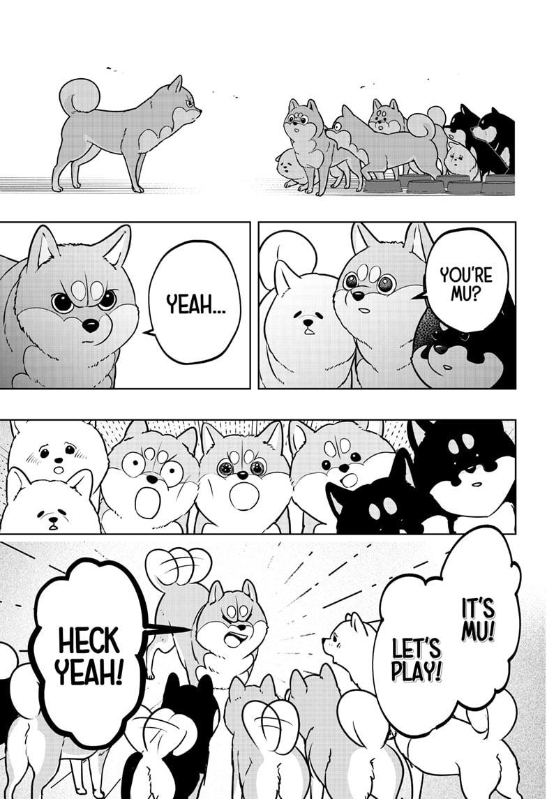 Shiba Inu Rooms Chap 10 - Next Chap 11