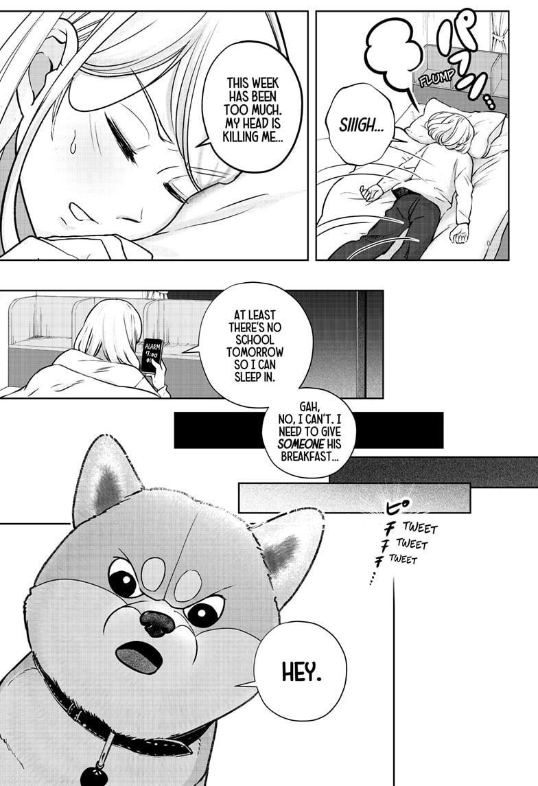 Shiba Inu Rooms Chap 11 - Next Chap 12