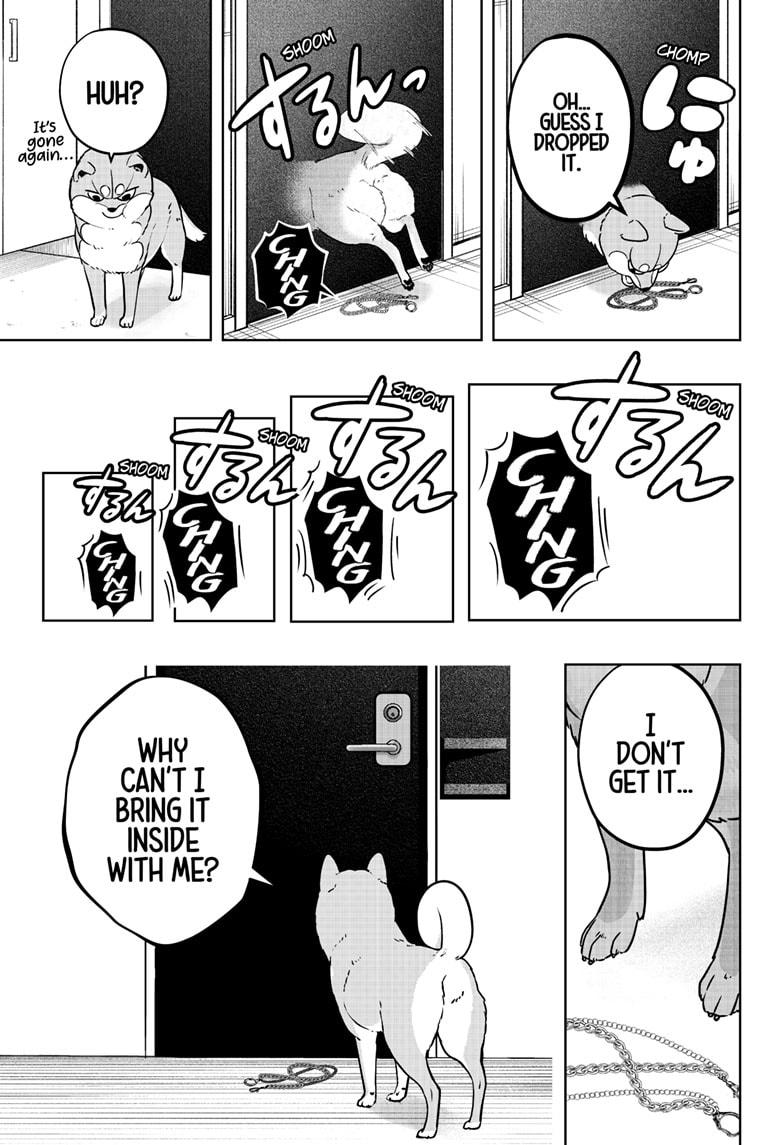 Shiba Inu Rooms Chap 11 - Next Chap 12