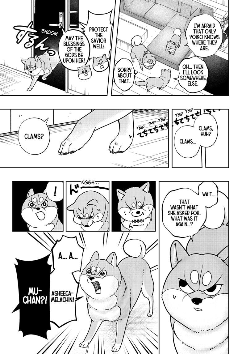 Shiba Inu Rooms Chap 11 - Next Chap 12