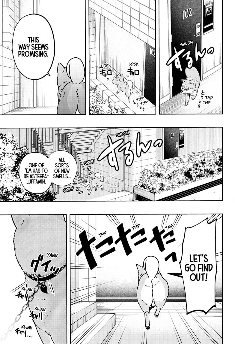 Shiba Inu Rooms Chap 11 - Next Chap 12