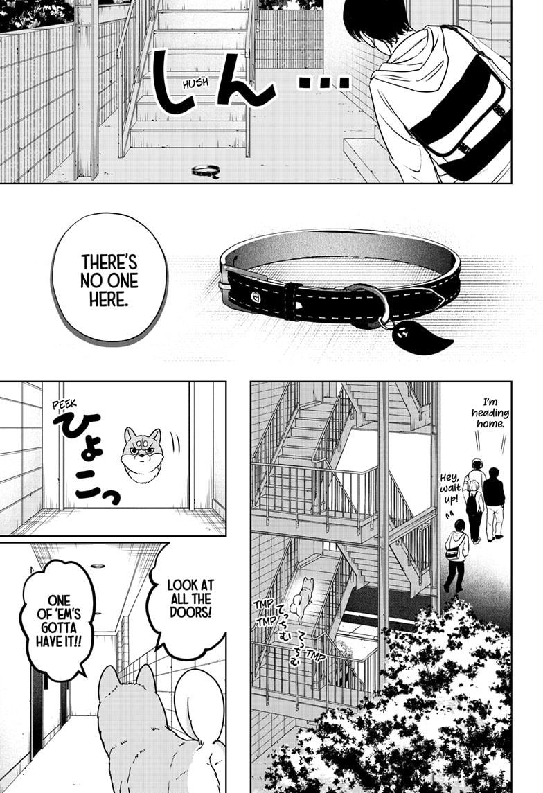 Shiba Inu Rooms Chap 11 - Next Chap 12