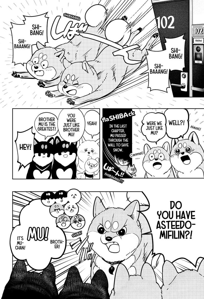 Shiba Inu Rooms Chap 11 - Next Chap 12