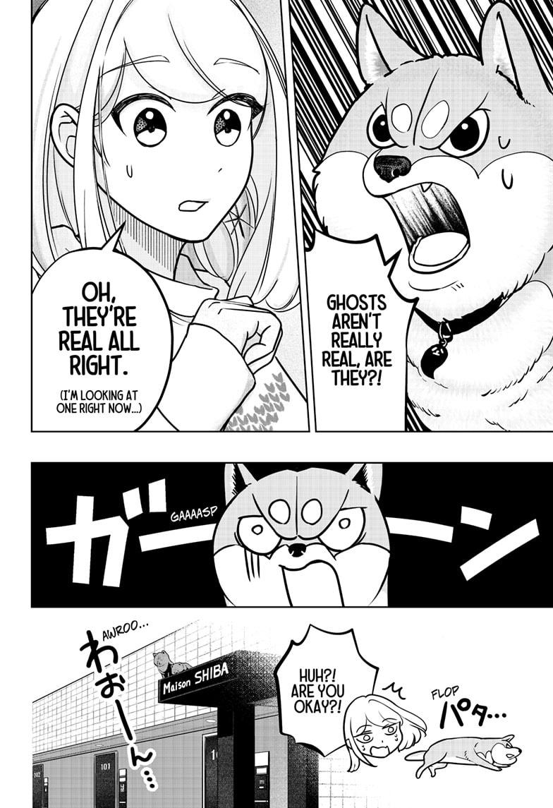 Shiba Inu Rooms Chap 12 - Next Chap 13